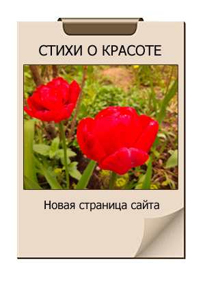 картинка кнопки