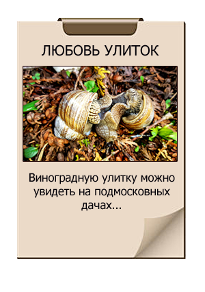 картинка статьи