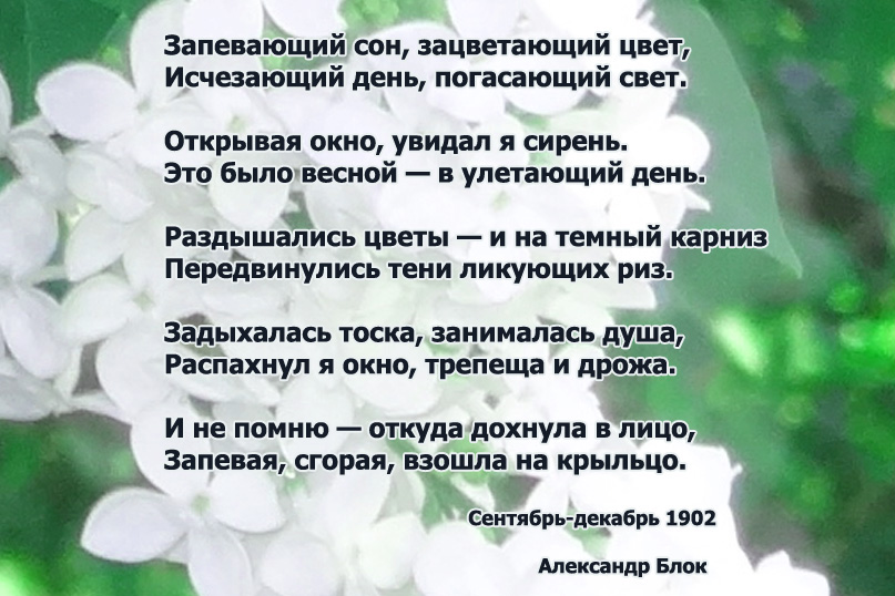 Стихи. Александр Блок. Запевающий сон, зацветающий цвет