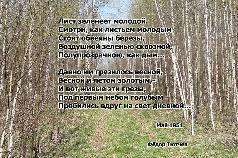 Фёдор Тютчев стихи в картинках