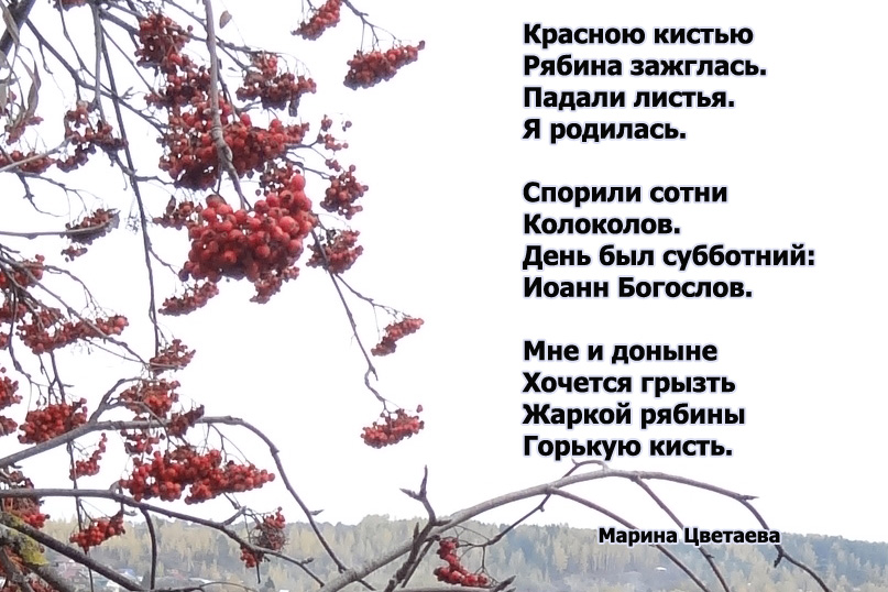 Марина Цветаева Красною кистью рябина зажглась, стихи картинки