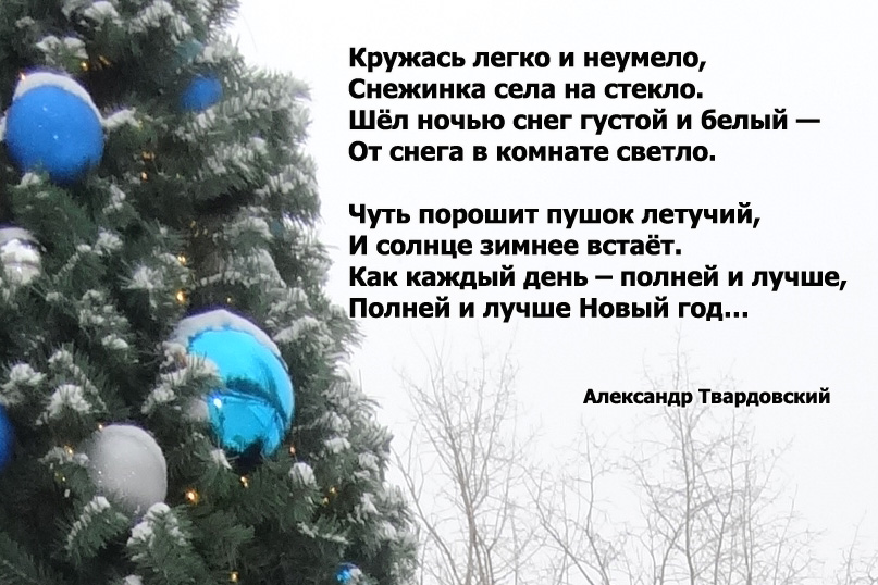 Картинки со словани Новый Год твардовский