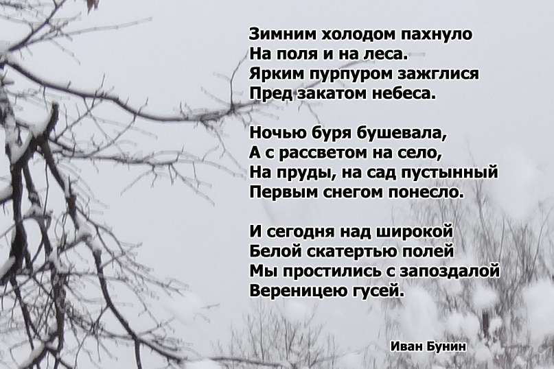 Стихи картинки бунин первый снег