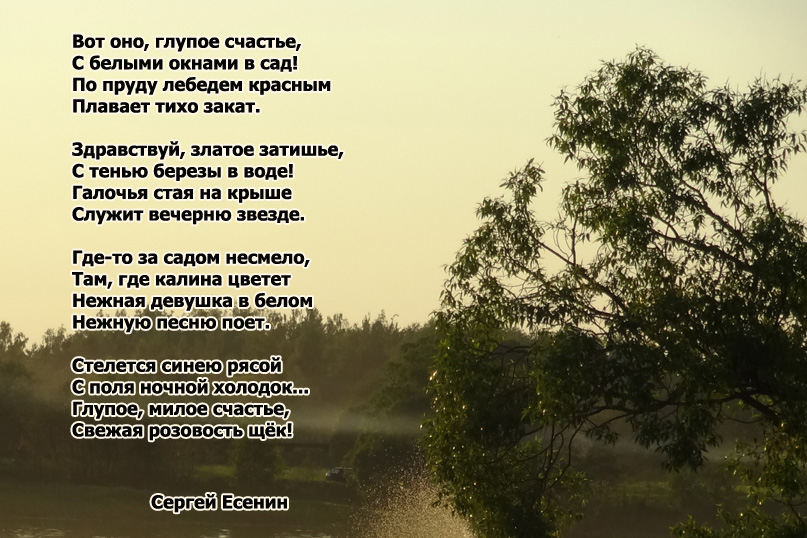 Есенин Вот оно глупое счастье