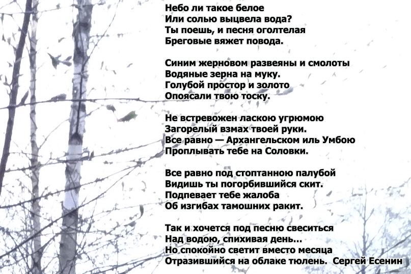 Сергей Есенин небо ли такое белое