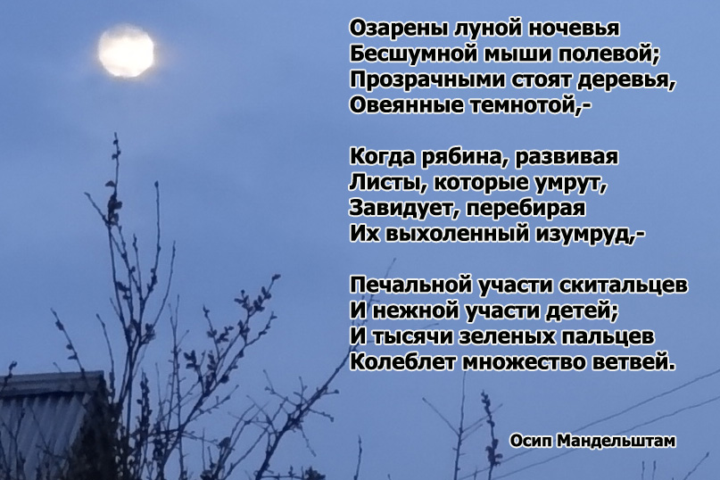 Осип Мандельштам стихи картинки озарены луной ночевья