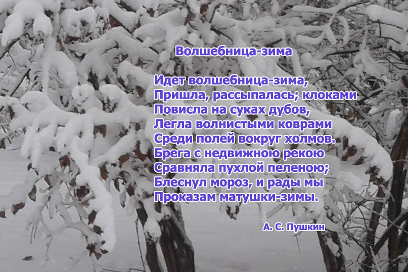 А. С. Пушкин Волшебница-зима картинки