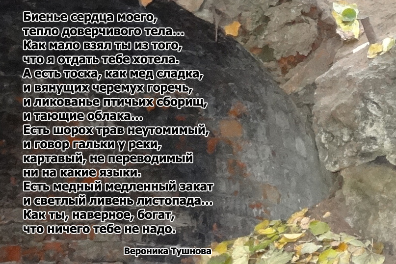 Вероника Тушнова картинки о безответной любви