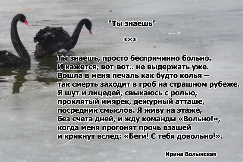Стихи ты знаешь картинки
